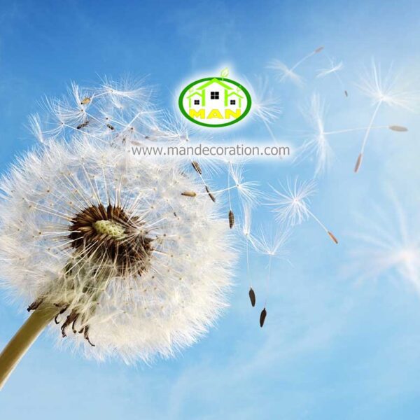آسمان مجازی قاصدک کد 182