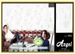کاغذ دیواری آنجل مدرن داماسک طوسی کد:9962