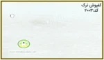 کفپوش ترک OAK سفید کد2003